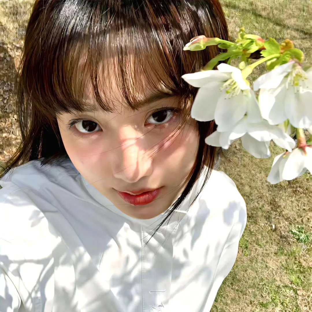 吾家有子初长成